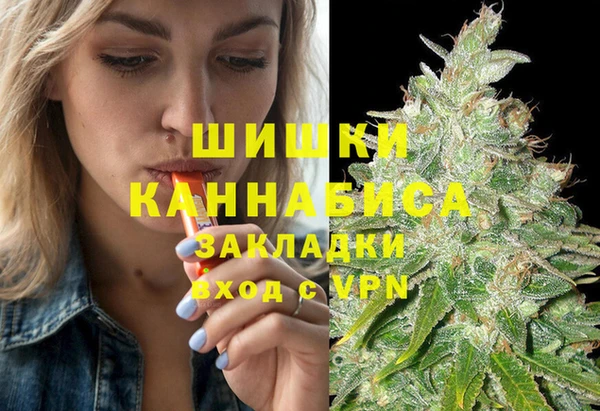 стаф Арсеньев