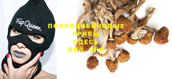 стаф Арсеньев